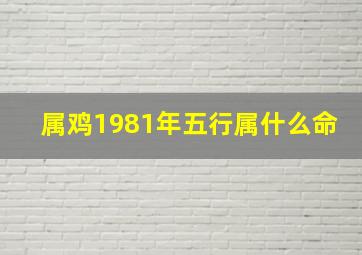 属鸡1981年五行属什么命