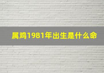 属鸡1981年出生是什么命