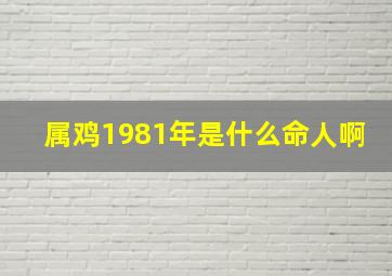 属鸡1981年是什么命人啊