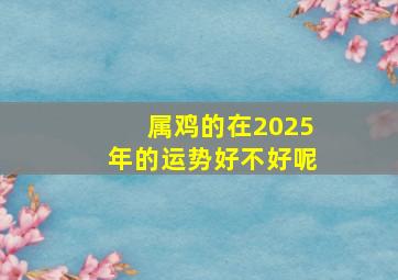 属鸡的在2025年的运势好不好呢