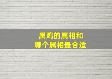 属鸡的属相和哪个属相最合适