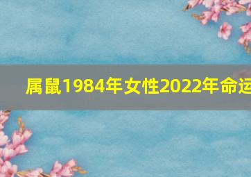 属鼠1984年女性2022年命运