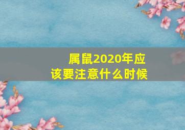 属鼠2020年应该要注意什么时候