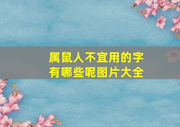 属鼠人不宜用的字有哪些呢图片大全