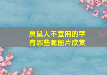 属鼠人不宜用的字有哪些呢图片欣赏