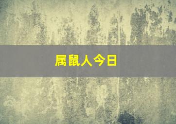 属鼠人今日