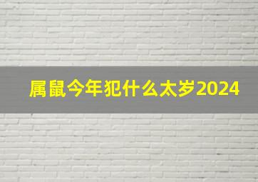 属鼠今年犯什么太岁2024