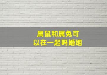 属鼠和属兔可以在一起吗婚姻