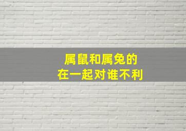 属鼠和属兔的在一起对谁不利