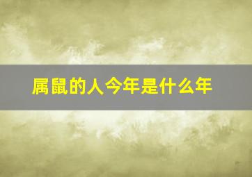 属鼠的人今年是什么年