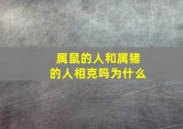 属鼠的人和属猪的人相克吗为什么