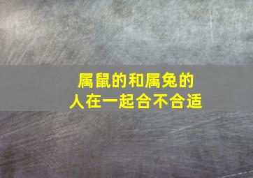 属鼠的和属兔的人在一起合不合适