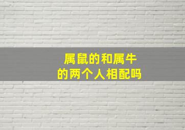 属鼠的和属牛的两个人相配吗