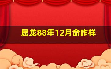 属龙88年12月命咋样