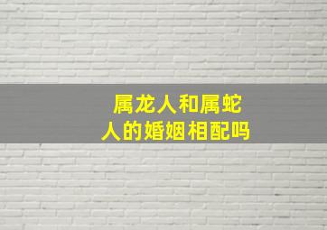 属龙人和属蛇人的婚姻相配吗