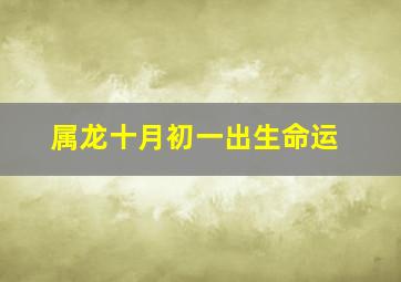 属龙十月初一出生命运