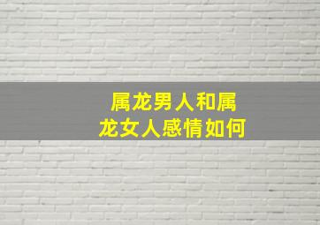 属龙男人和属龙女人感情如何