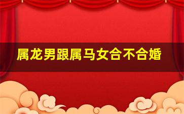 属龙男跟属马女合不合婚