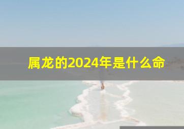 属龙的2024年是什么命