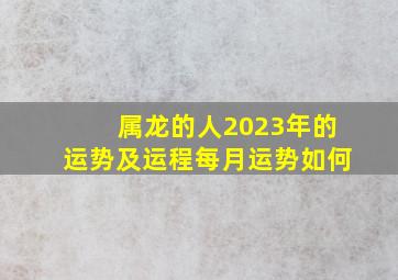 属龙的人2023年的运势及运程每月运势如何