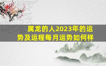 属龙的人2023年的运势及运程每月运势如何样