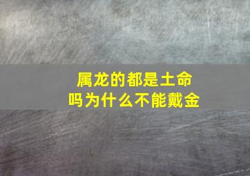 属龙的都是土命吗为什么不能戴金