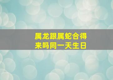 属龙跟属蛇合得来吗同一天生日