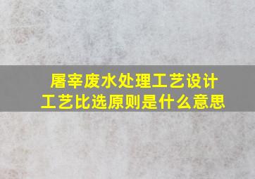 屠宰废水处理工艺设计工艺比选原则是什么意思