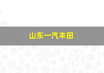 山东一汽丰田