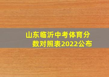 山东临沂中考体育分数对照表2022公布