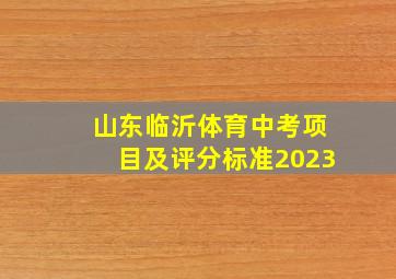 山东临沂体育中考项目及评分标准2023