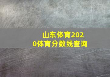 山东体育2020体育分数线查询