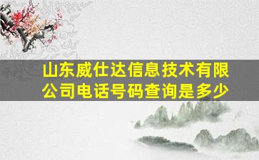 山东威仕达信息技术有限公司电话号码查询是多少