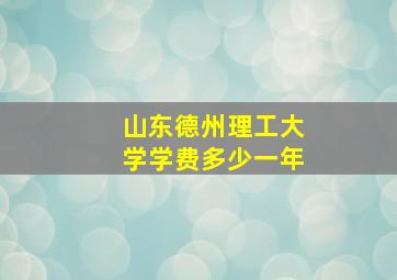 山东德州理工大学学费多少一年