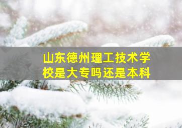 山东德州理工技术学校是大专吗还是本科