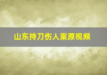 山东持刀伤人案原视频