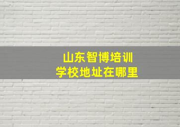 山东智博培训学校地址在哪里