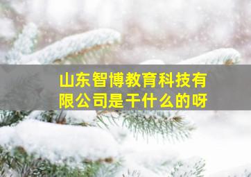 山东智博教育科技有限公司是干什么的呀