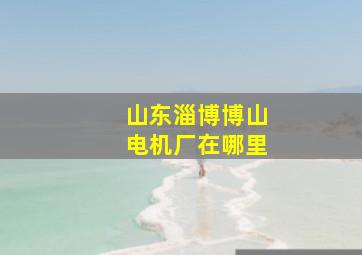 山东淄博博山电机厂在哪里