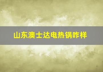 山东澳士达电热锅咋样