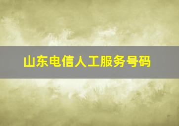 山东电信人工服务号码