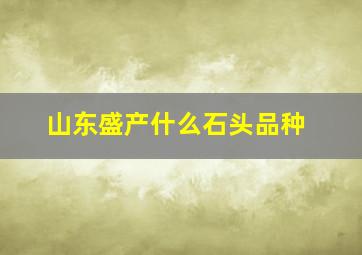 山东盛产什么石头品种