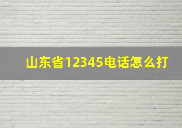 山东省12345电话怎么打