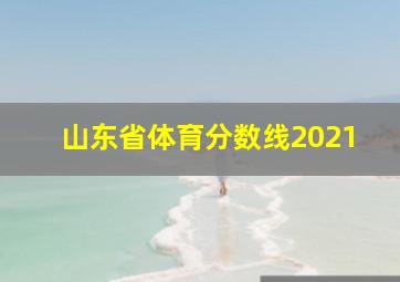 山东省体育分数线2021