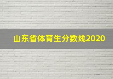 山东省体育生分数线2020