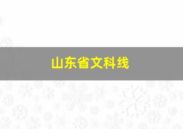 山东省文科线