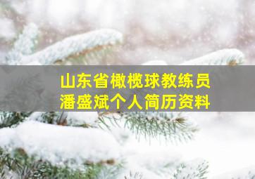 山东省橄榄球教练员潘盛斌个人简历资料