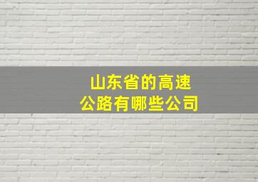 山东省的高速公路有哪些公司