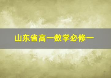 山东省高一数学必修一