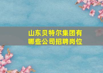 山东贝特尔集团有哪些公司招聘岗位